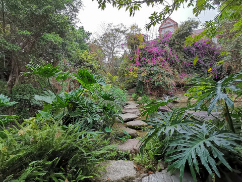 山庄户外风景