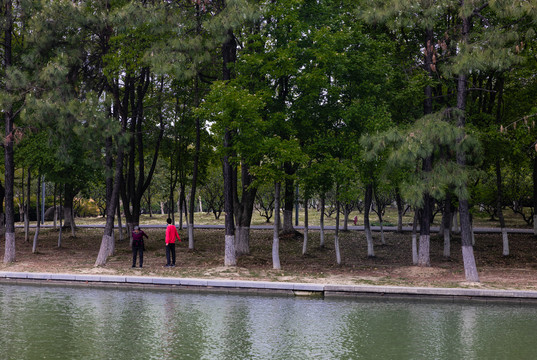 春游斜塘河