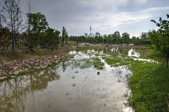 金华赤山公园河流湿地