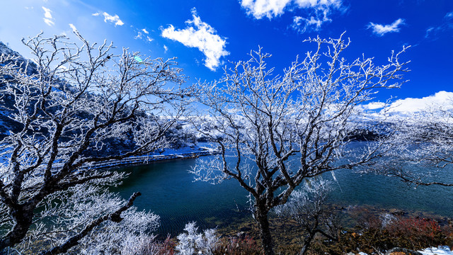 木格措风光