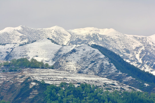 春山雪霁