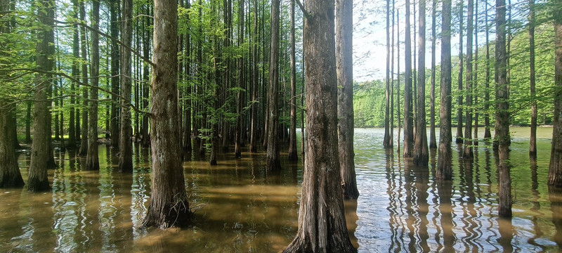 汉中南郑龙池风景区