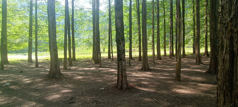 汉中南郑龙池风景区