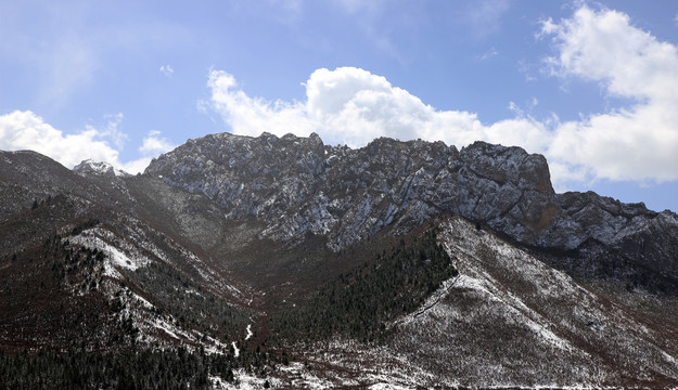 春雪