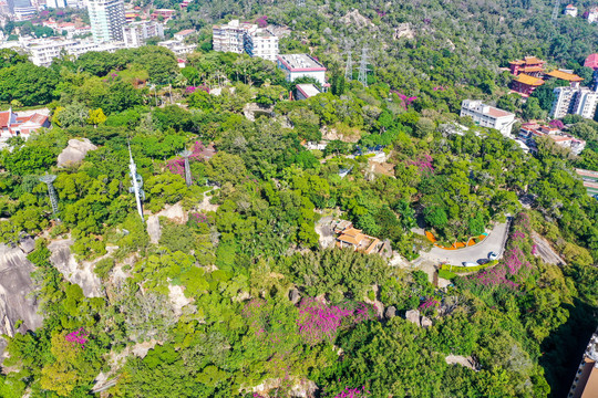 航拍福建厦门鸿山公园与鸿山寺