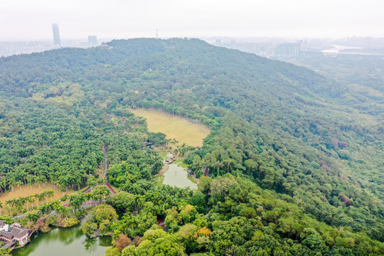 航拍广西南宁青秀山风景区天池