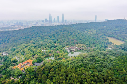 航拍广西南宁青秀山风景区天池