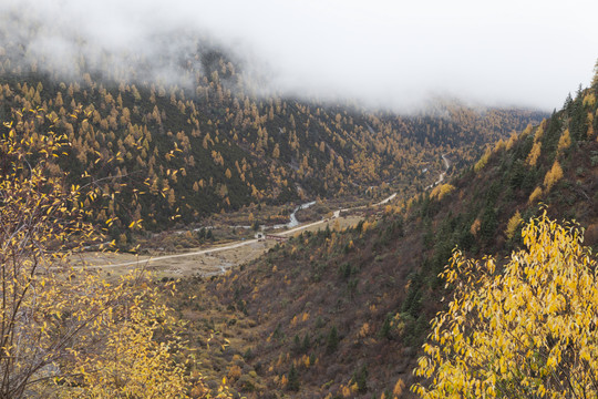 高山沟壑云雾彩林自然风光