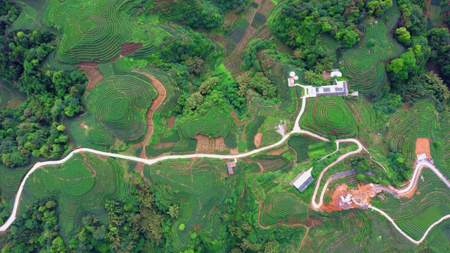 茶山航拍