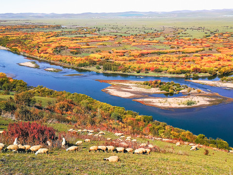 秋季河流羊群多彩树林
