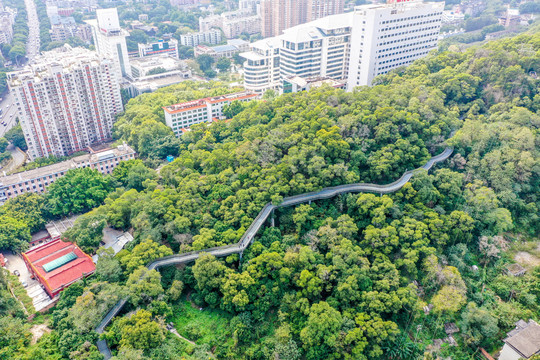 航拍福建福州城市森林步道福道