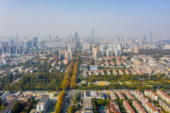 航拍南京故宫宫城核心区遗址