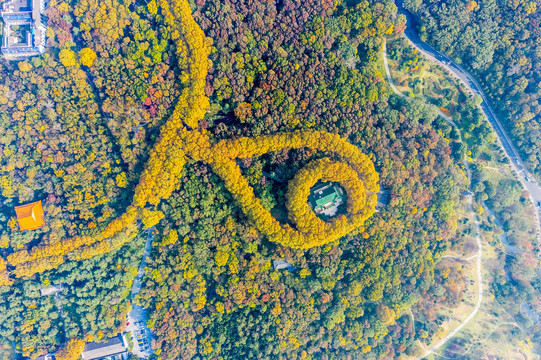 航拍南京钟山风景名胜区美龄宫