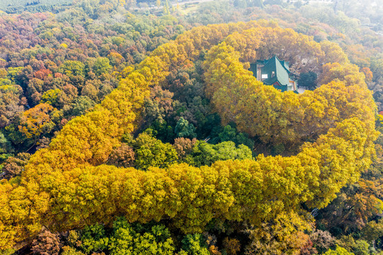 航拍南京钟山风景名胜区美龄宫