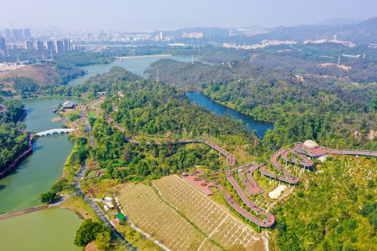 航拍珠海香山湖公园香山云道