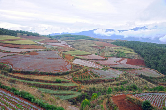 东川红土地