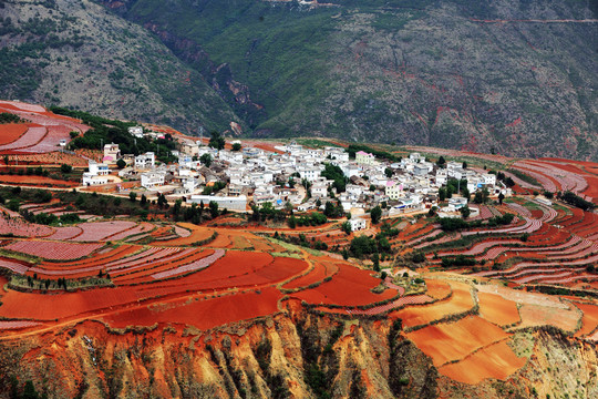 东川红土地