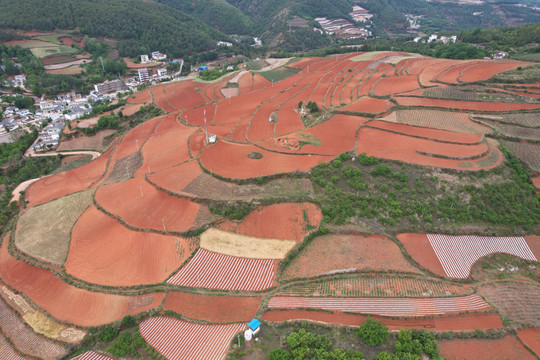 东川红土地