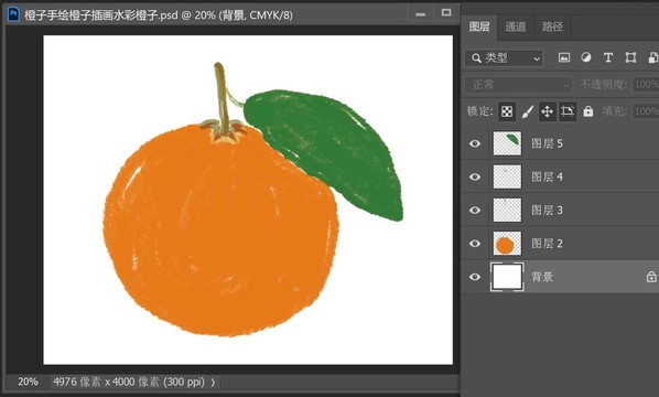 橙子手绘橙子插画水彩橙子