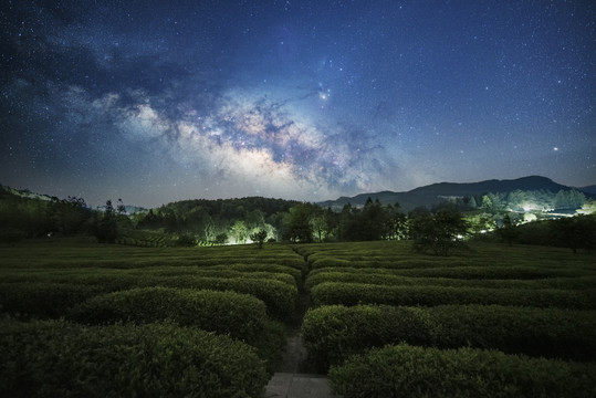 重庆武隆贡茶园星空摄影图