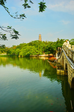 西湖泗洲塔
