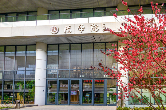 春花烂漫的北京大学法学院