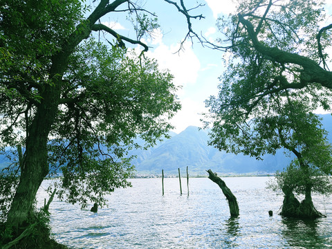 大理风光苍山洱海