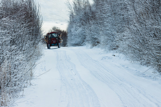 冬季森林积雪道路雾凇拖拉机