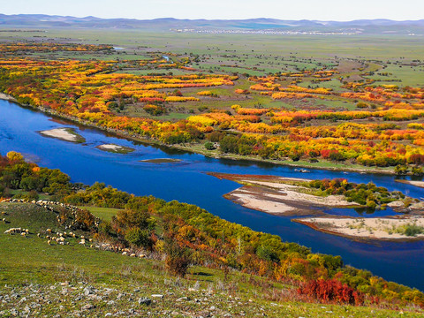 秋季多彩湿地羊群河流