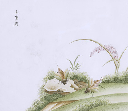 土沙鸡虫草国画小品