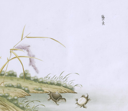 小甲鱼虫草国画小品