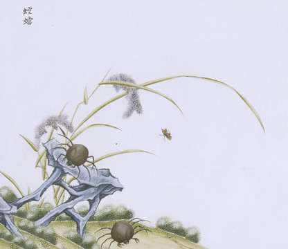 空当虫虫草国画小品