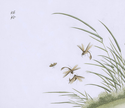 螟蛉虫草国画小品