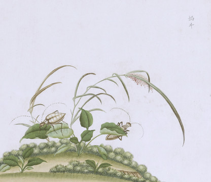 蜗牛虫虫草国画小品