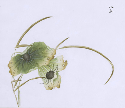 八瓜蜘蛛虫草国画小品