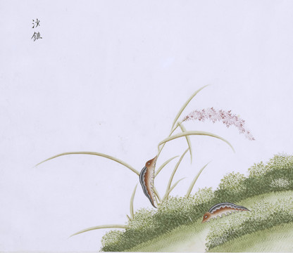 沙虫虫草国画小品