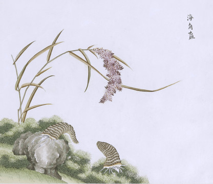 寄居蟹虫草国画小品