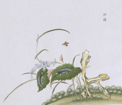 蜚蠊虫草国画小品