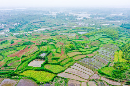 航拍信阳光山县司马光油茶园