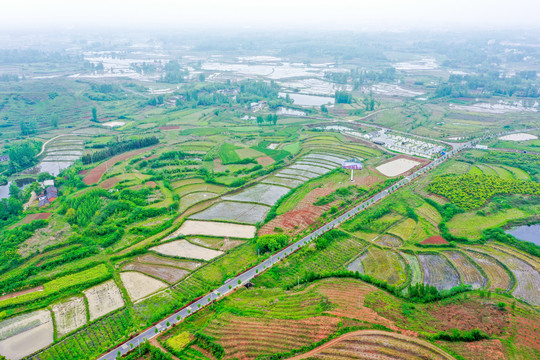 航拍信阳光山县司马光油茶园