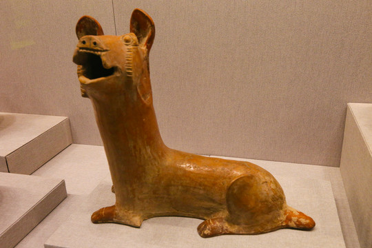 狗