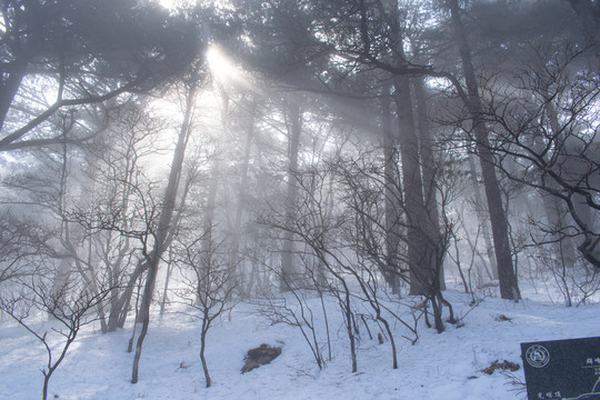 黄山雪景阳光晨雾