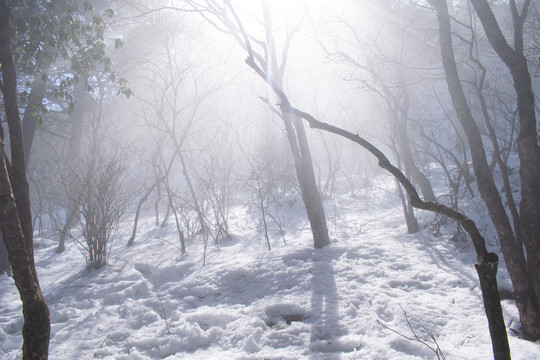 黄山雪景