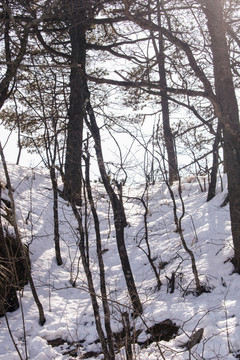 黄山雪景