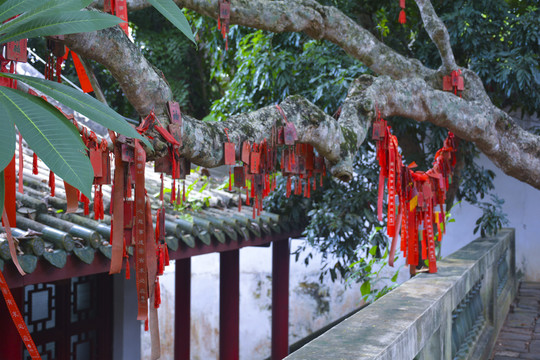 海口五公祠