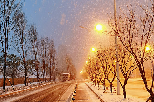 雪景