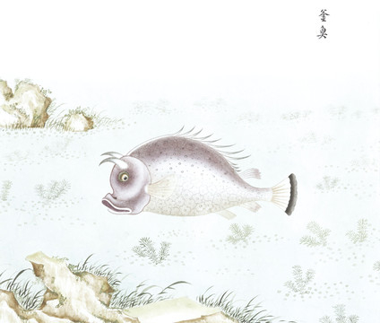 釜鱼鱼国画海洋生物手绘