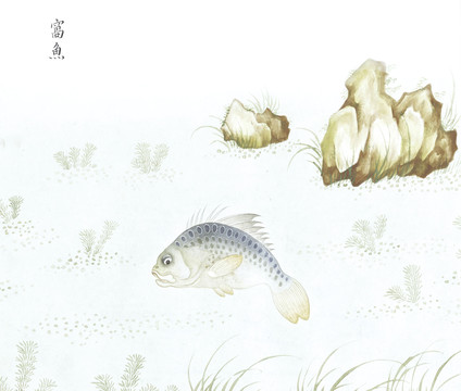 海鲈鱼鱼国画海洋生物手绘