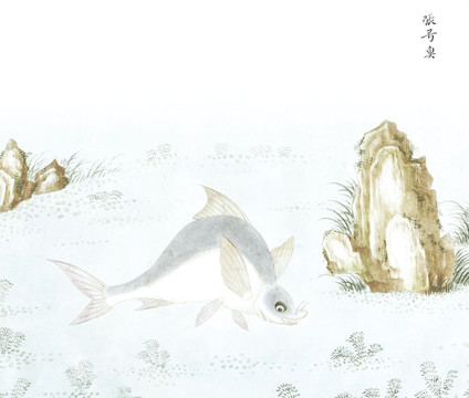 张弓鱼国画鱼海洋生物手绘