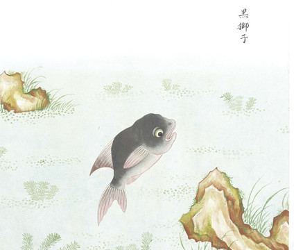 黑狮子国画鱼海洋生物手绘